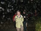 Treffpunkt im Nebel